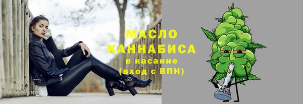амф Пестово