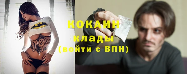 амф Пестово