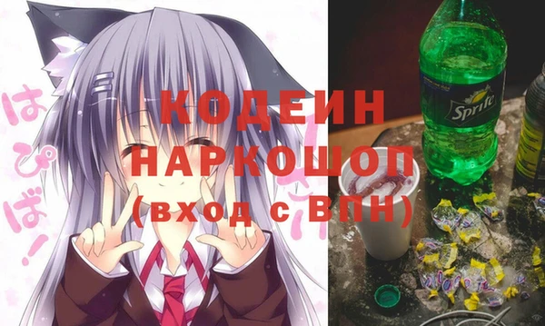 амф Пестово
