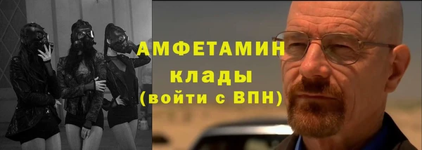 амф Пестово