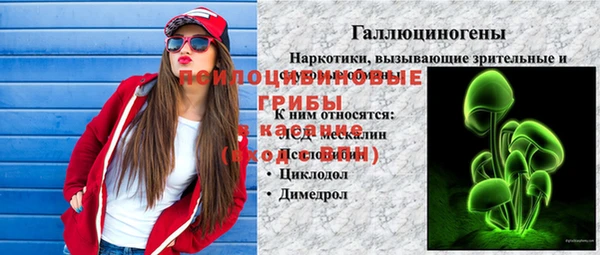 ГАЛЛЮЦИНОГЕННЫЕ ГРИБЫ Пересвет