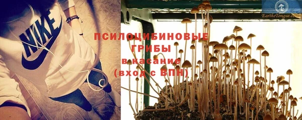 амф Пестово