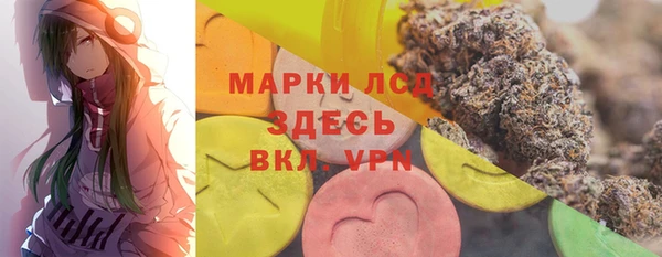 амф Пестово