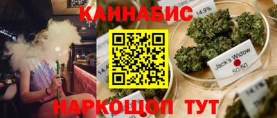 прущие грибы Азнакаево