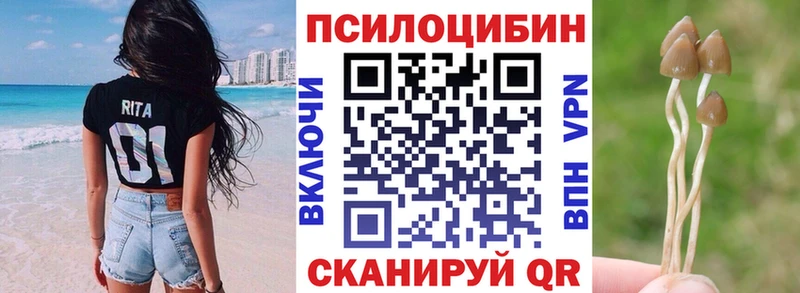 купить наркоту  blacksprut ссылки  Галлюциногенные грибы Cubensis  Апатиты 